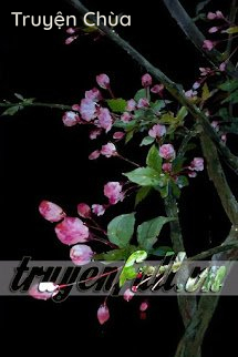 Xuyên Qua Tìm Được Hạnh Phúc